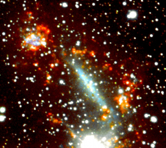 In this rendition the bright star to the south has been left in place while the active ring of star formation centred on the elongated galaxy at the centre of the image has been rendered a fiery orange. The same CTIO H-alpha, red and blue images have been combined as before but with a different colour rendition.
